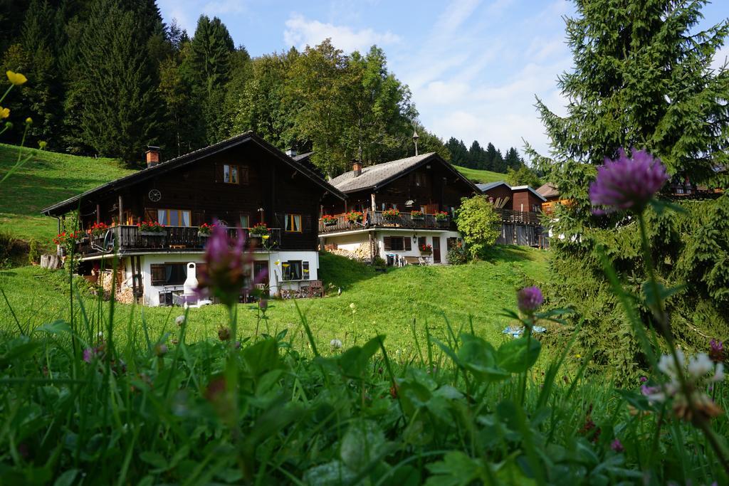 Ferienwohnungen Im Blockhaus Metzler Schwarzenberg im Bregenzerwald Exterior foto